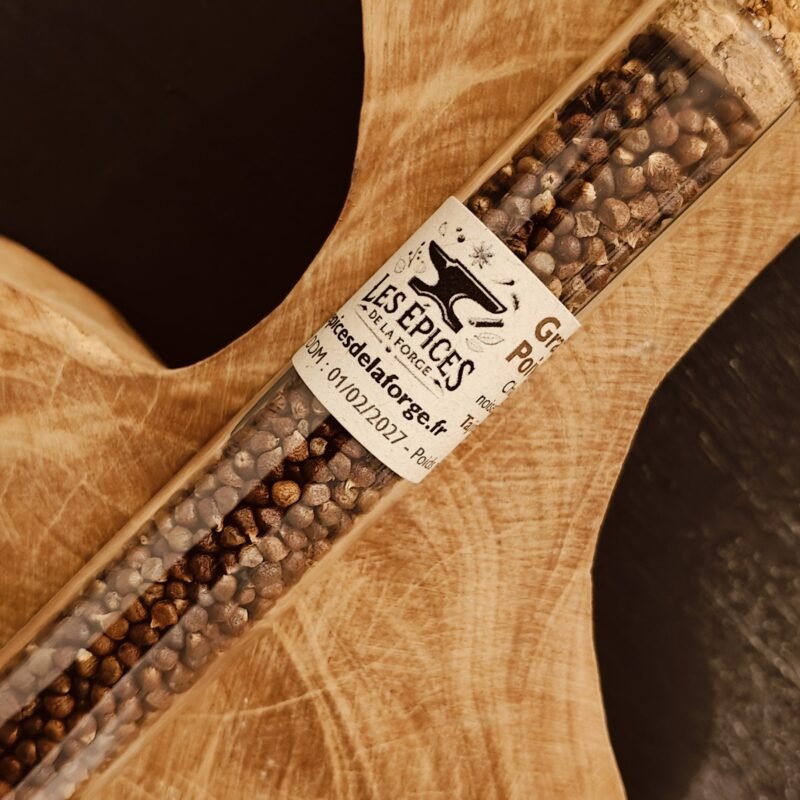 Grain-Paradis-Poivre-Melegueta